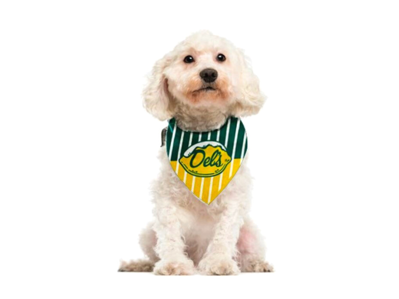 Del's Pet Bandana