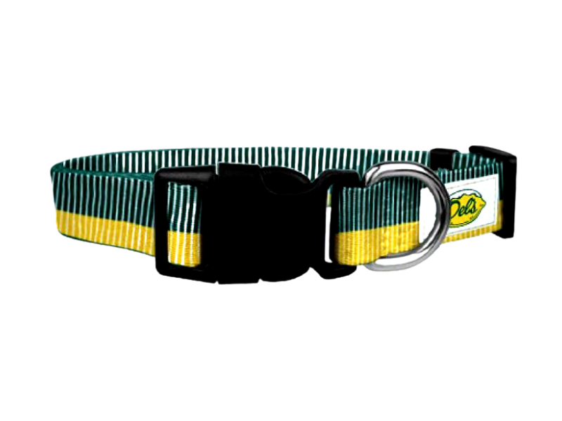 Dog Collar