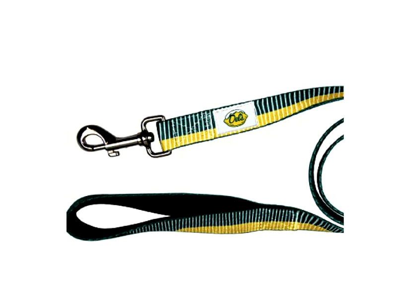 Dog Leash - Fixed